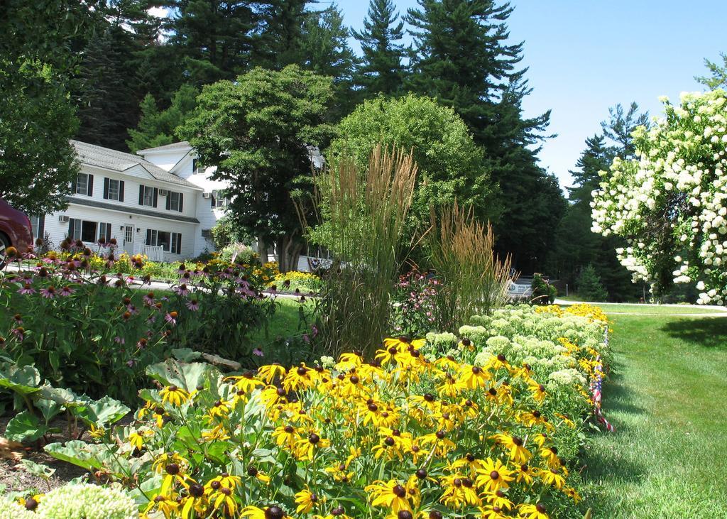 Purity Spring Resort Madison Exterior foto